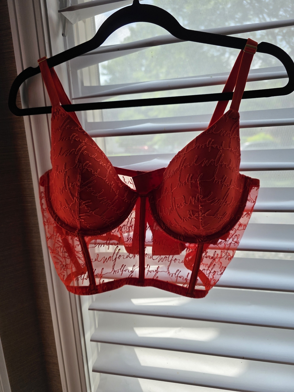 Wolford Red Lace Longline Underwire Bra